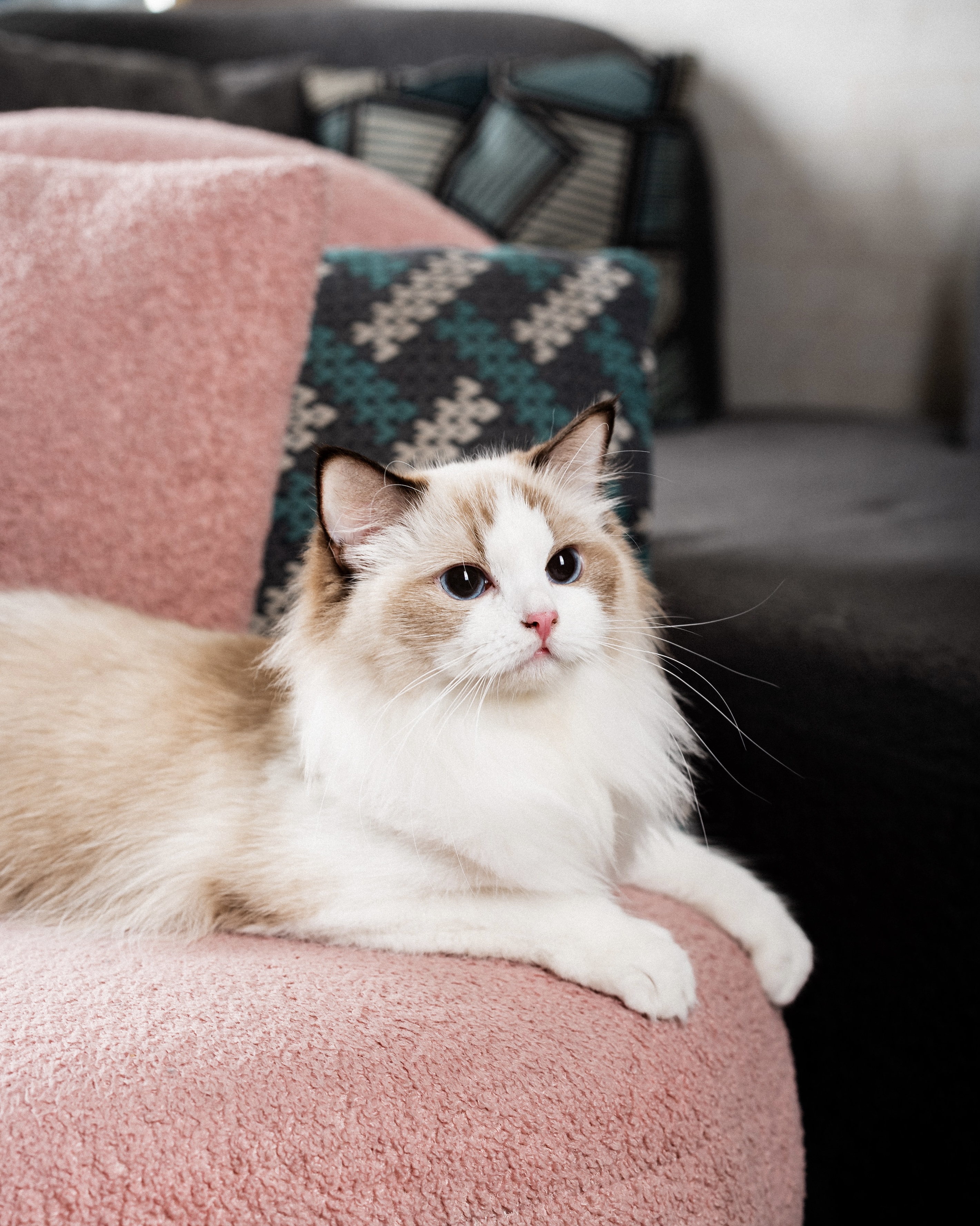 ICH. Amara of Makisig Gemstones